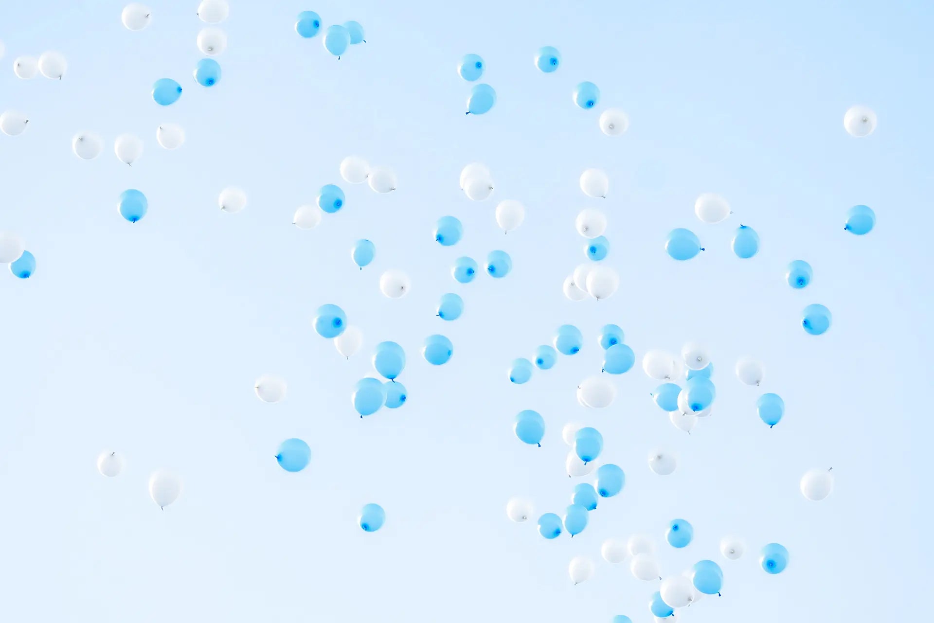 Gender Reveal