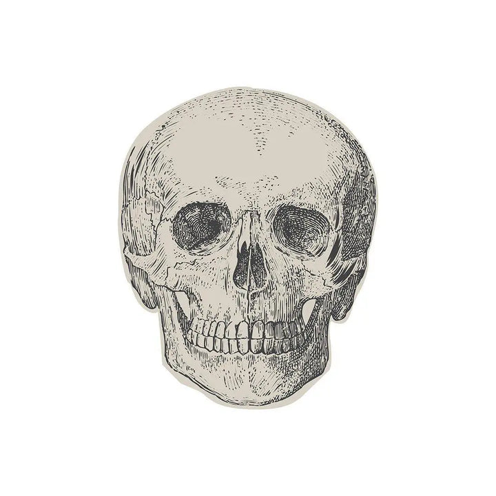 Halloween Skull Napkins - Black & White Skull Paper Napkins - Halloween Party Decorations - Creepy Chic Halloween - Pack Of 16 - Jolie Fete UK