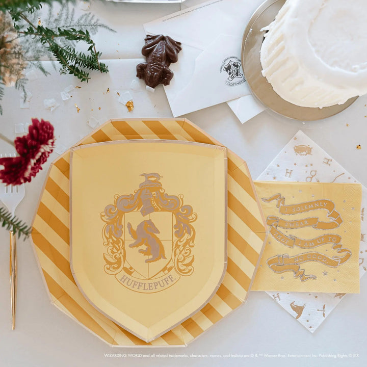 Harry Potter Party Plates - Officially Licensed House Pride Striped Large Paper Plates - Hogwarts Birthday Tableware - Pack of 8 - Jolie Fete UK