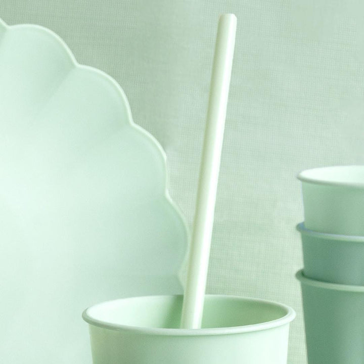 Pastel Green Reusable Straws - Mint Green Party Straws - Light Green Birthday Party Tableware -Reusable Plastic Straws With Brush-Pack Of 12 - Jolie Fete UK