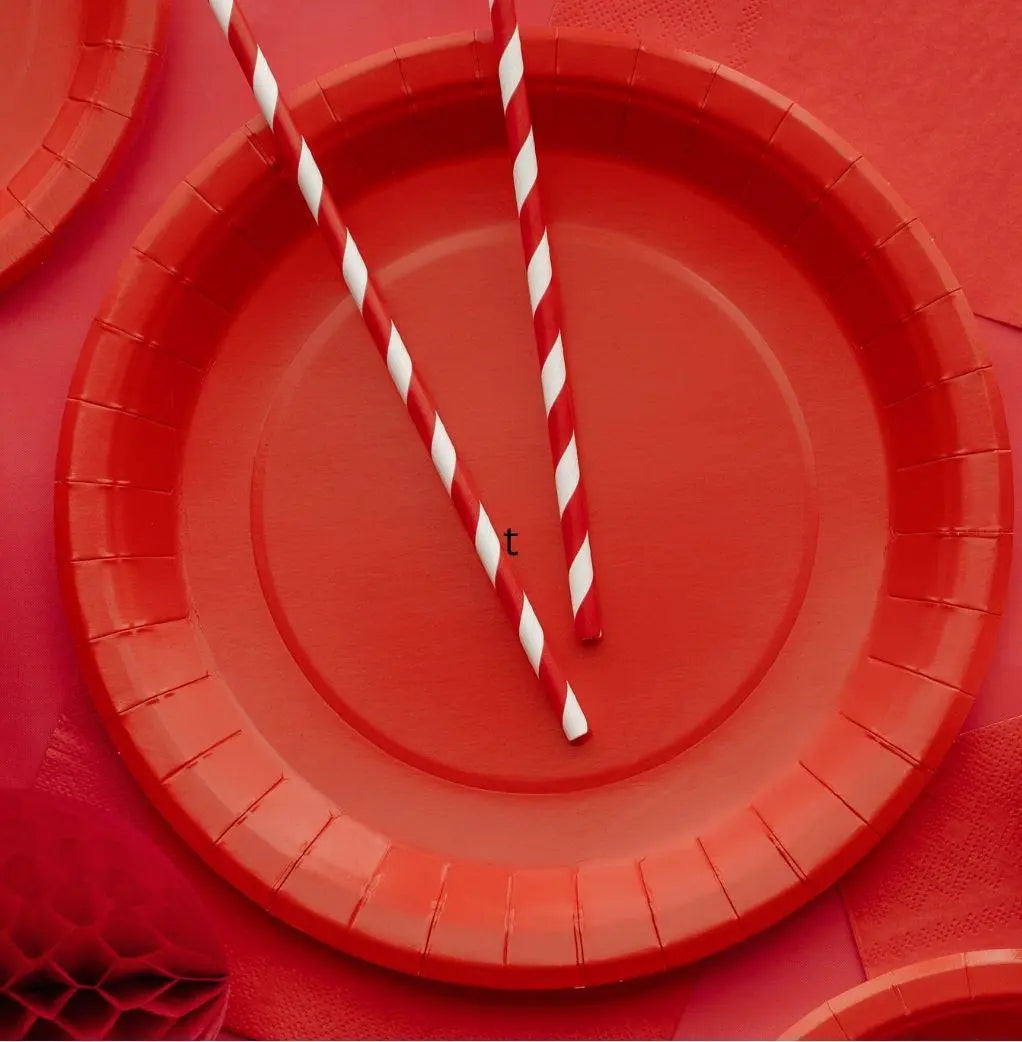 Red Paper Plates 23cm - Party Tableware - Birthday Party - Buffet Supplies - Pack of 6 - Circus Party - Disposable Round Plates-Pirate Party - Jolie Fete UK