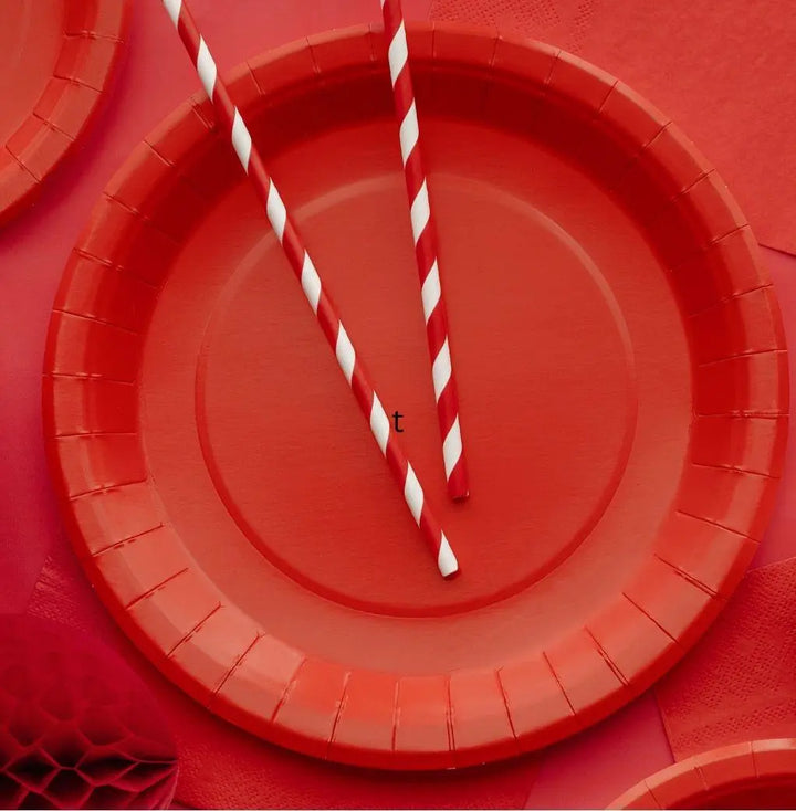 Red Paper Plates 23cm - Party Tableware - Birthday Party - Buffet Supplies - Pack of 6 - Circus Party - Disposable Round Plates-Pirate Party - Jolie Fete UK