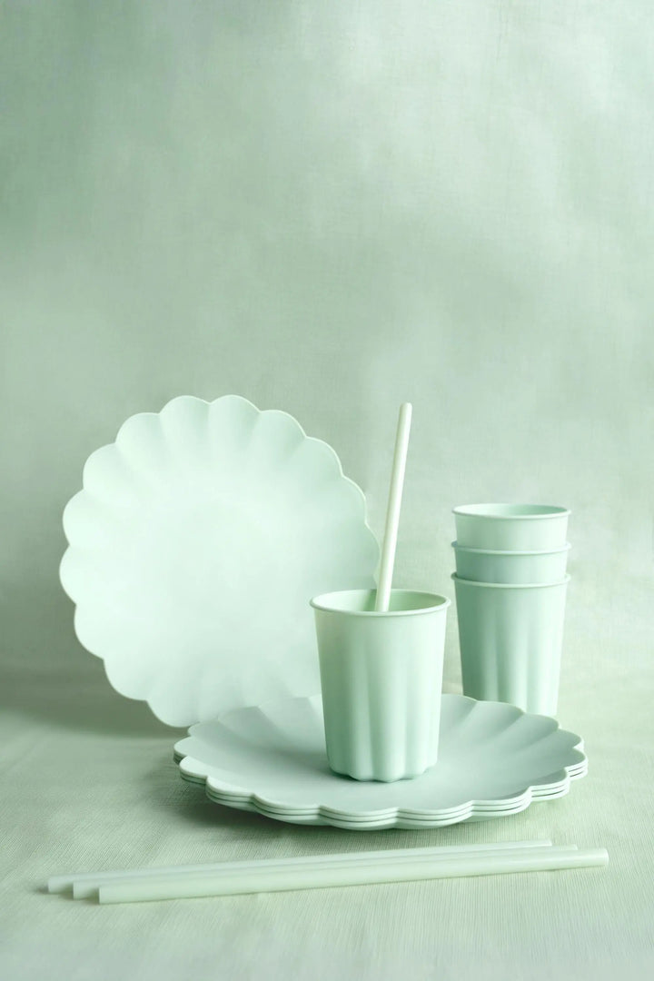 Pastel Green Reusable Plates - Mint Green Party Plates - Light Green Birthday Party Decorations - Picnic Plastic Plates - Pack Of 4 - Jolie Fete UK