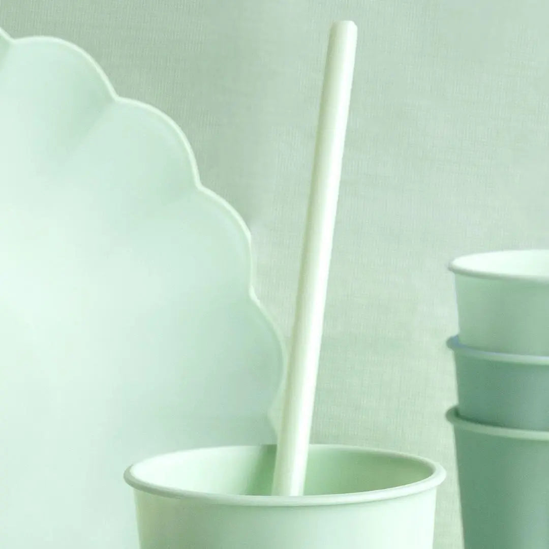 Pastel Green Reusable Straws - Mint Green Party Straws - Light Green Birthday Party Tableware -Reusable Plastic Straws With Brush-Pack Of 12 - Jolie Fete UK
