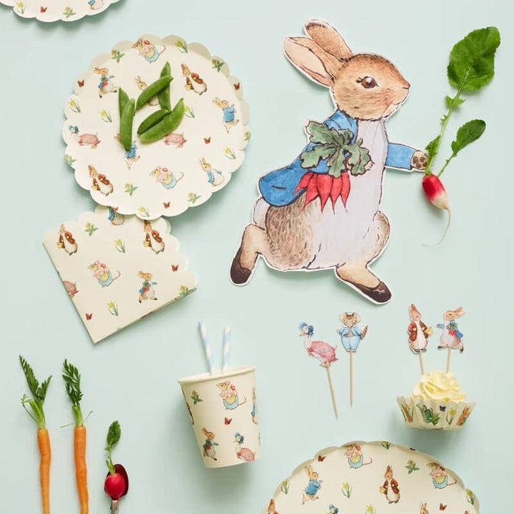Peter Rabbit Plates - Beatrix Potter Peter Rabbit And Friends - Meri Meri - Pack Of 12 - Jolie Fete