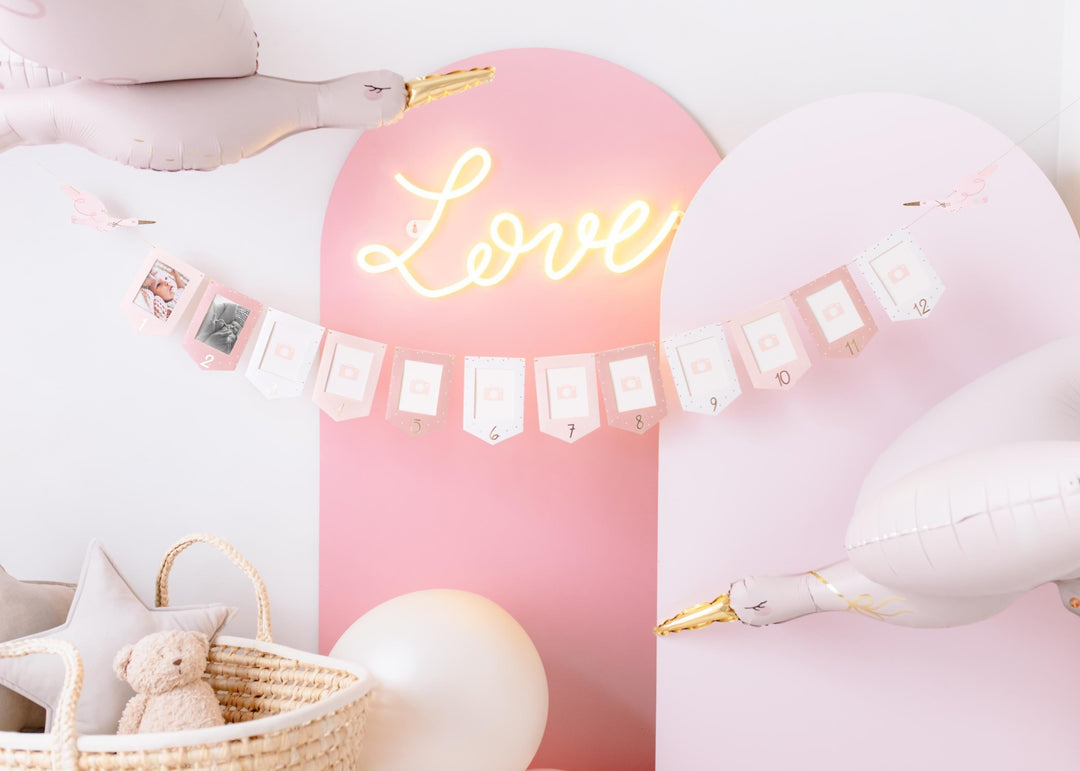 Pink & White Stork Picture Frame Garland - 12 Month Baby Milestone Banner - First Birthday Photo Display - New Baby Girl Nursery Decor - Jolie Fete UK
