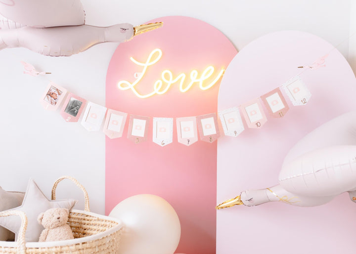 Pink & White Stork Picture Frame Garland - 12 Month Baby Milestone Banner - First Birthday Photo Display - New Baby Girl Nursery Decor - Jolie Fete UK