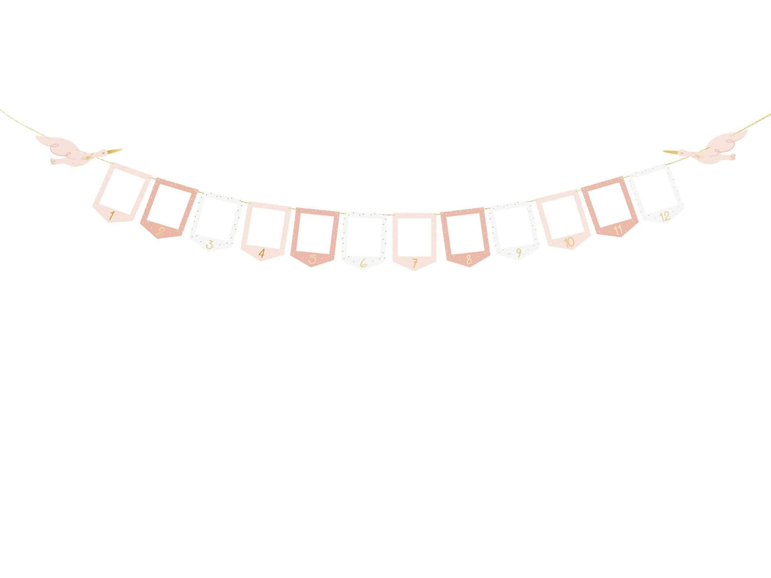 Pink & White Stork Picture Frame Garland - 12 Month Baby Milestone Banner - First Birthday Photo Display - New Baby Girl Nursery Decor - Jolie Fete UK