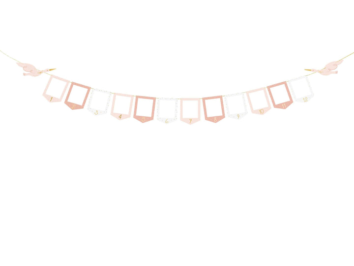 Pink & White Stork Picture Frame Garland - 12 Month Baby Milestone Banner - First Birthday Photo Display - New Baby Girl Nursery Decor - Jolie Fete UK