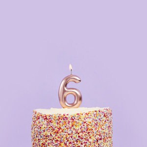 Rose Gold Number 6 Candle - Six Birthday Cake Candle - Age Candles - Rose Gold Party Decorations