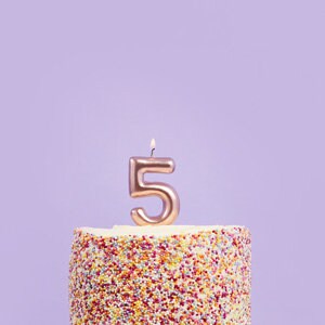 Rose Gold Number 5 Candle - Five Birthday Cake Candle - Age Candles - Rose Gold Party Decorations