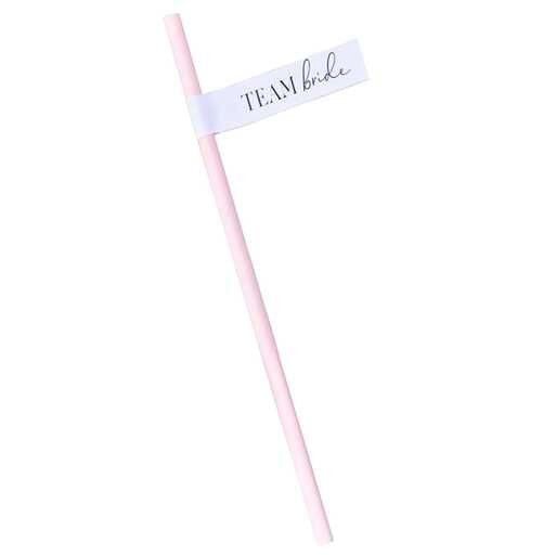 Team Bride Hen Party Paper Straws - Pink Bridal Shower Party Straws - Bachelorette Party Straw-Team Bride Straws-Hen Party Straws-Pack of 16